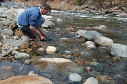 Panning for Gold in the Wild Ammonoosuc River