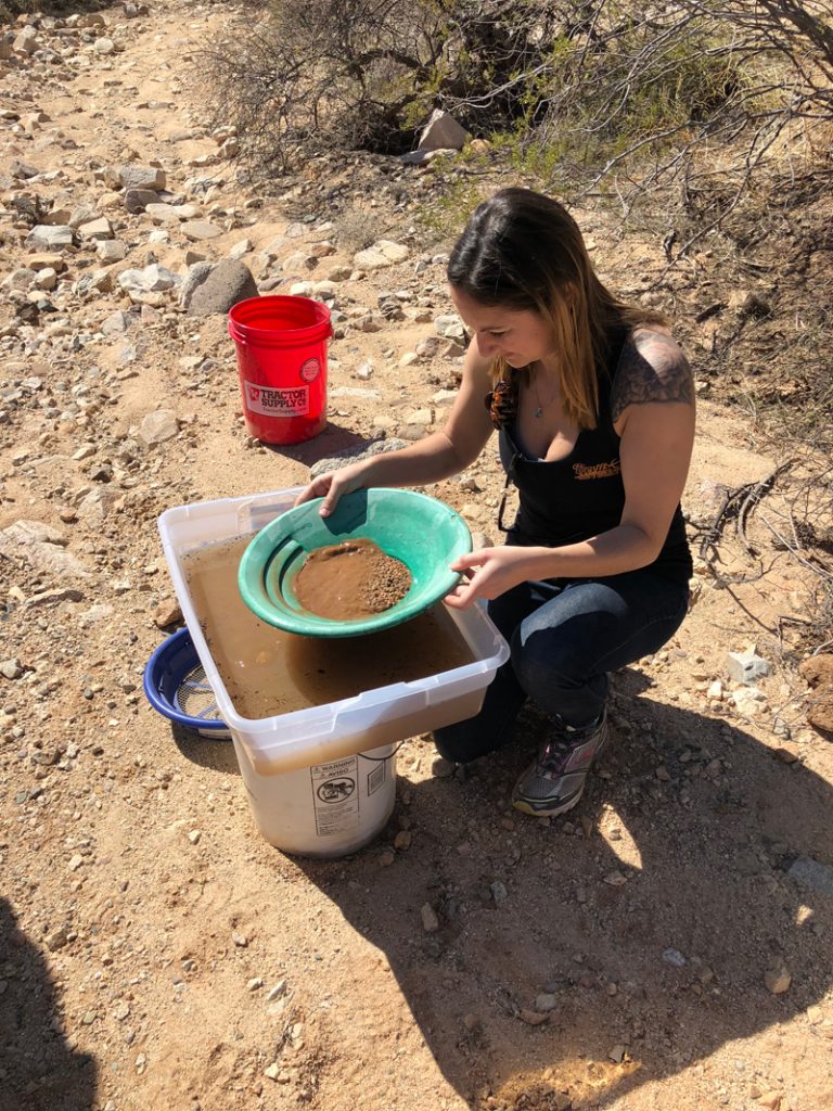Wickenburg Gold Arizona Gold Prospecting Adventures